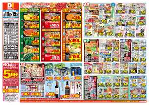 加納店チラシ（06月10日(水)～06月15日(月)）